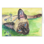 Siamese Cat Greeting Cards