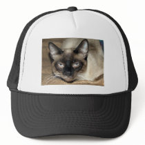 Siamese Cat hats