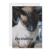 Siamese Cat Invitation