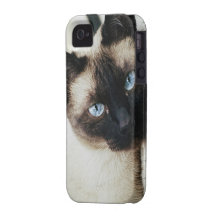Siamese Cat iPhone 4/4S Cases