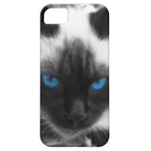 Siamese Cat iPhone 5 Case