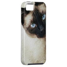 Siamese Cat iPhone 5 Cases
