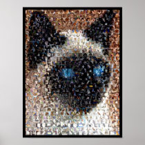 siamese Cat Montage Print