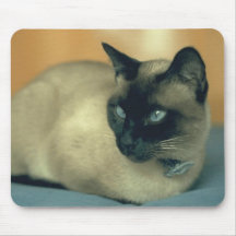 Siamese cat mouse mat