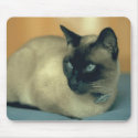 Siamese Cat Mousepad by animaltees Siamese Cat Mousepad