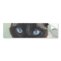 Siamese Cat Murphy Bumper Stickers