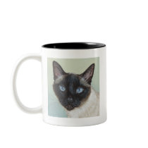 Siamese Cat Murphy Coffee Mugs