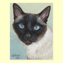 Siamese Cat Murphy postcards