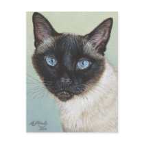 Siamese Cat Murphy Post Cards