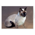 Siamese Cat Painting cards