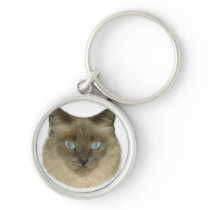 Siamese Cat Portrait Key Chain