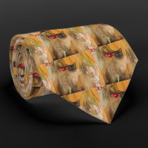 Siamese Cat Posing Animal Photography Neck Tie