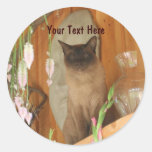 Siamese Cat Posing Animal Photography Sticker #1