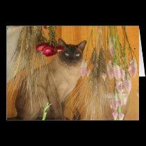 Siamese Cat Posing Photography Note Card #3 by SmilinEyesTreasures Siamese Cat Posing Photography Note Card #3