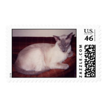 Siamese Cat postage