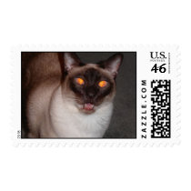 Siamese Cat postage