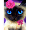 Siamese Cat Poster - 155 CHARMING print