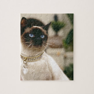 siamese cat jigsaw puzzle