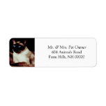 Siamese Cat Return Address Stickers Labels