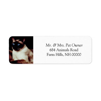 Siamese Cat Return Address Stickers Labels