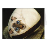"Siamese" cat rock card