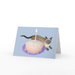 Siamese Cat with Birthday Cake cards