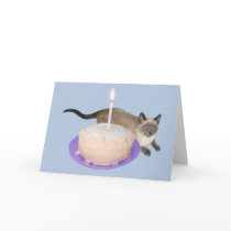 Siamese Cat with Birthday Cake cards by catsclips Siamese Cat with Birthday Cake cards