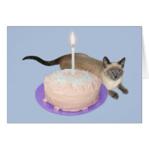 Siamese Cat with Birthday Cake Cards