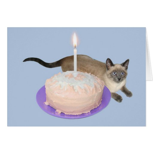Siamese Cat with Birthday Cake Cards