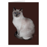 Siamese Cat with BlueEyes Greeting Cards