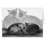 Siamese Cats Drawing by Kelli Swan cards
