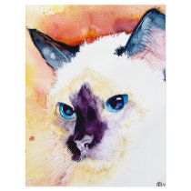 SIAMESE CATS FLYERS