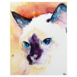 SIAMESE CATS LETTERHEAD DESIGN