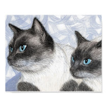 Siamese Cats Print