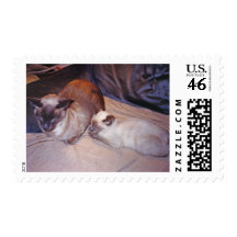 Siamese Cats Stamp