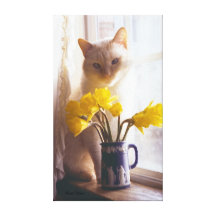 Siamese & Daffodils in Window Gallery Wrapped Canvas