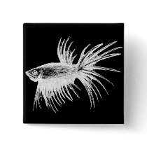 Siamese fighting fish- Betta splendens Button