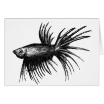 Siamese fighting fish- Betta splendens Greeting Cards