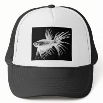 Siamese fighting fish- Betta splendens Hats