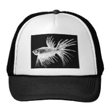 Siamese fighting fish- Betta splendens Hats