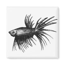 Siamese fighting fish- Betta splendens Refrigerator Magnets