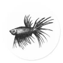 Siamese fighting fish- Betta splendens Round Sticker