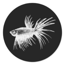 Siamese fighting fish- Betta splendens Round Stickers