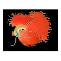 Siamese Fighting Fish Postcard