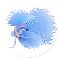 Siamese Fighting Fish Sticker