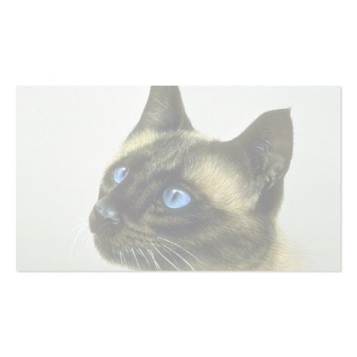 Siamese (head study) business card template (back side)