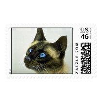 Siamese (head study) stamps