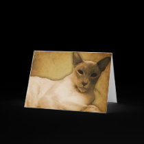 Siamese in Sepia Greetings Card - Horizontal cards