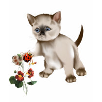 Siamese Kitten VS Ladybug  T-Shirt