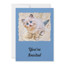 Siamese Kitten with Soulful Blue Eyes Announcement